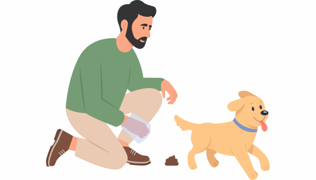 Why Dog Poop Cleanup Matters: Protecting Your Pets, Kids, and Yard from Hidden Dangers